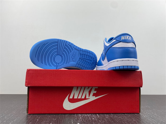 Nike Dunk Low UNC CW1588-103