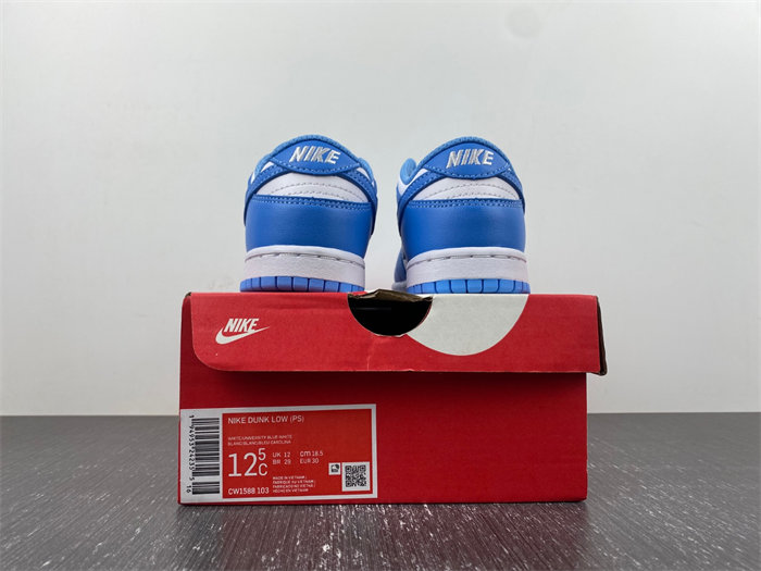 Nike Dunk Low UNC CW1588-103