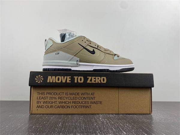 Nike Dunk Disrupt