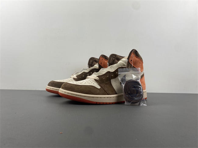 Air Jordan 1 High OG WMNS “Dusted Clay” FQ2941-200 22