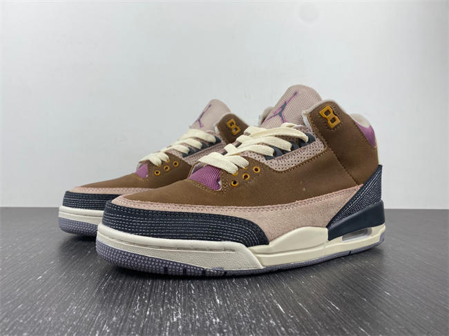 Air Jordan 3 Retro SE AJ3  DR8869-200