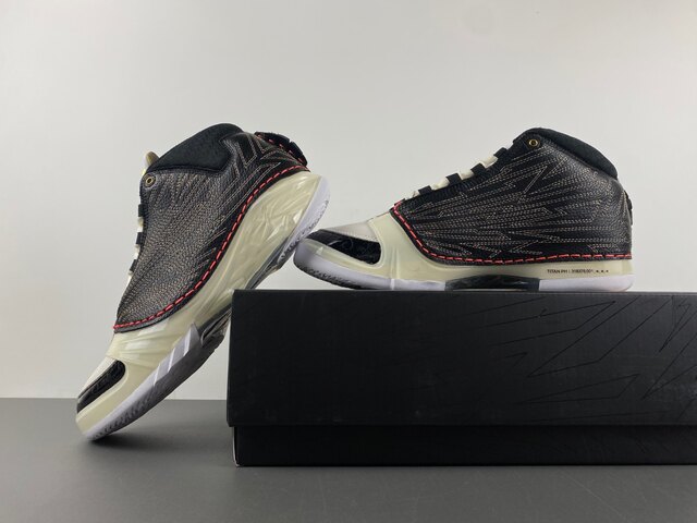 Titan x Air Jordan 23 CZ6222-001