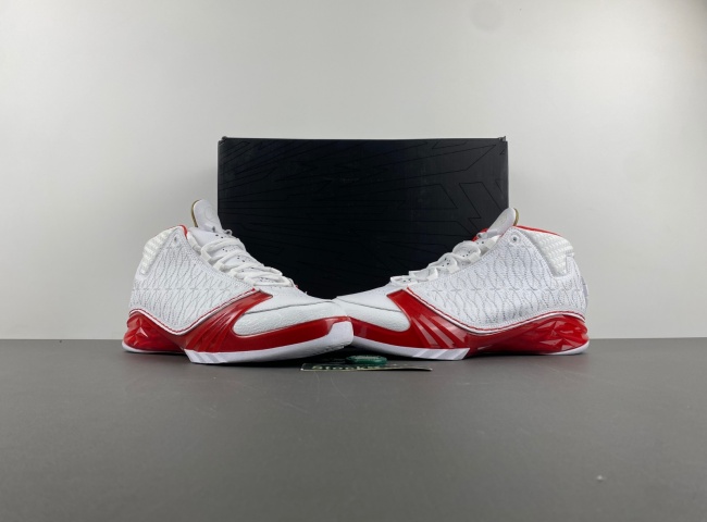 Air Jordan 23 OG 318376-161