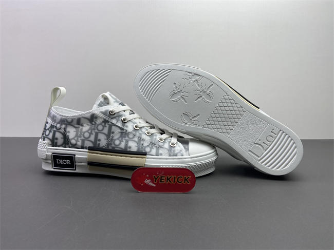 DR B23 OBLIQUE LOW TOP SNEAKER